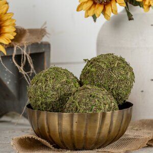 Box of 9 Decorative Dried Moss Balls